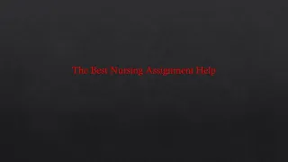 The Best Nursing Assignment Help - slide 1
