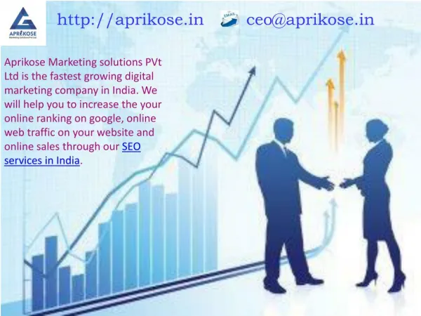 SEO Company in jaipur | SEO Services in Jaipur