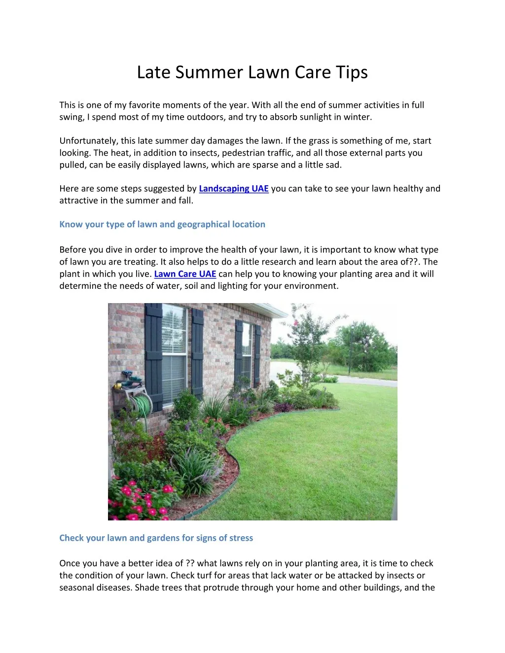 late summer lawn care tips