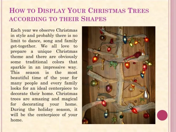 How to Display Your Christmas Trees according to their Shapes