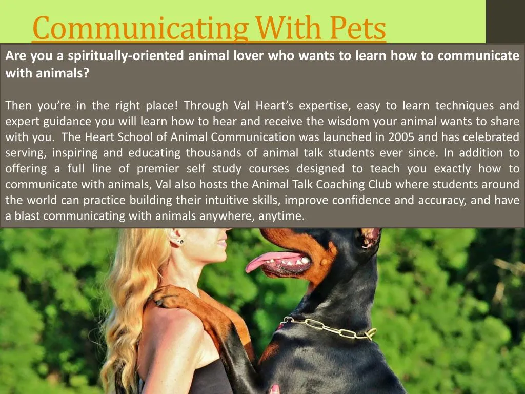 communicating with pets