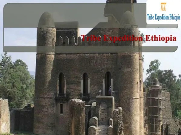 Visit The World Best Historic Route Tour Of Ethiopia With Tribeexpeditionethiopia