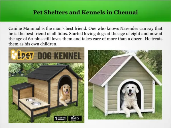 Dog Shelters in Chennai