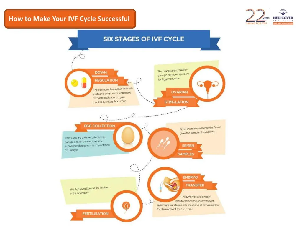 how to make your ivf cycle successful