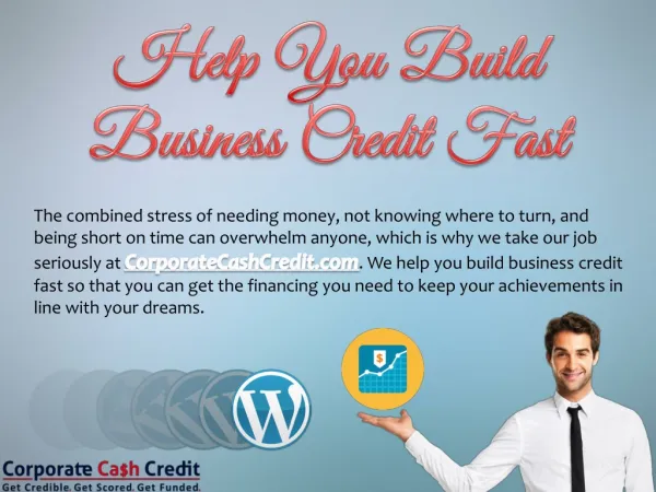 Help You Build Business Credit Fast