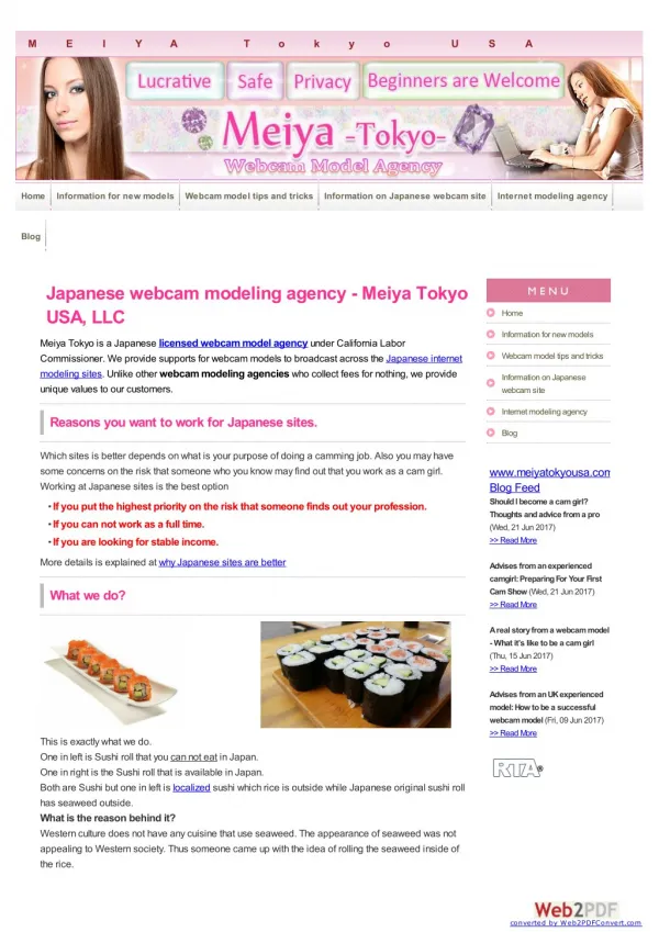 Japanese webcam modeling agency - Meiya Tokyo USA, LLC