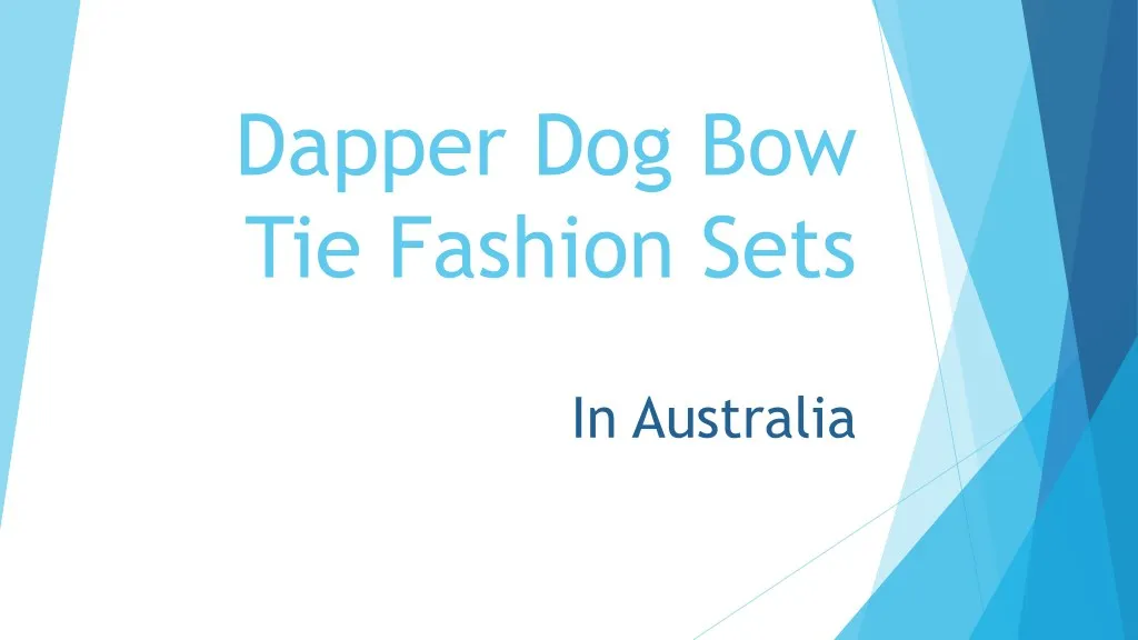 dapper dog bow tie fashion sets
