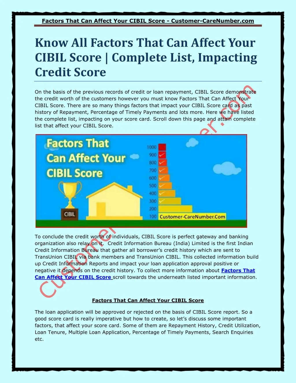 factors that can affect your cibil score customer