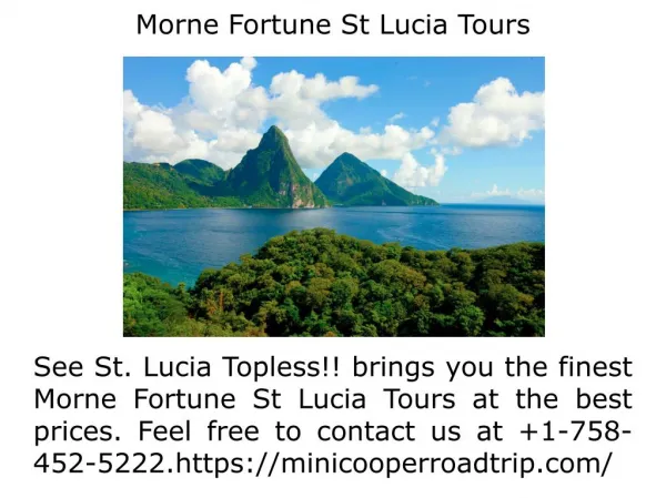 St Lucia Castries market tour
