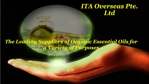 The Leading Suppliers Of Organic Essential Oils For a Variety Of Purpose
