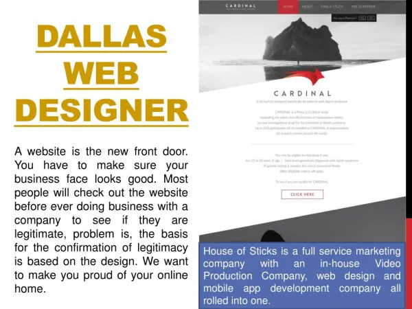 Web Design Company Dallas