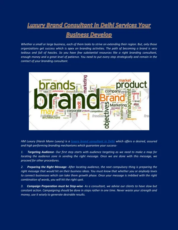 Luxury Brand Consultant in Delhi Services Your Business Develop