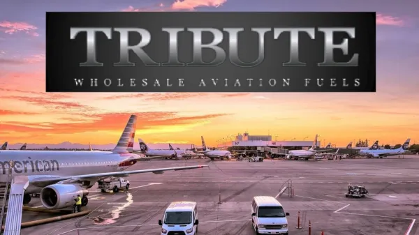 Aviation Services by Tribute Aviation