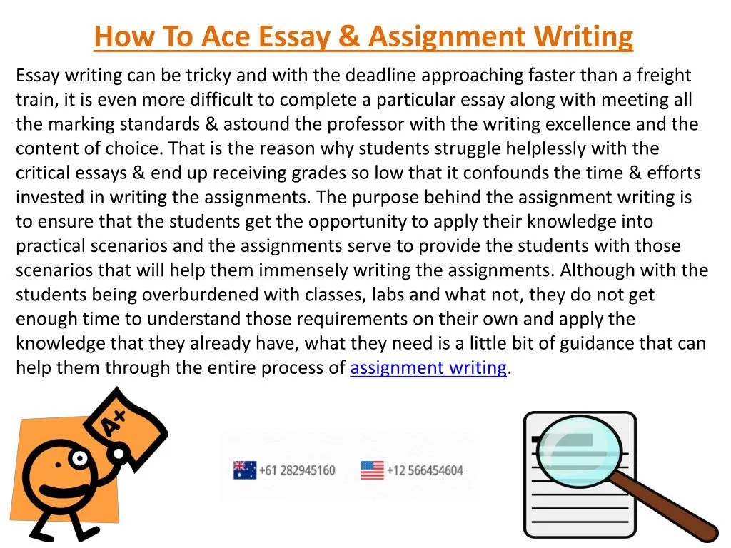 how to ace essay assignment writing