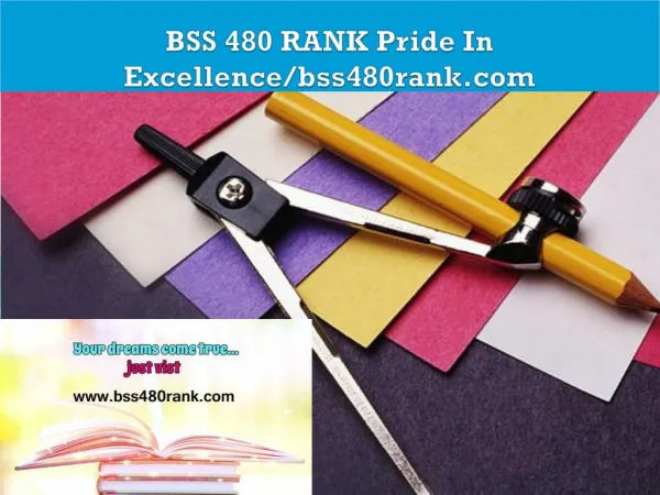 BSS 480 RANK Pride In Excellence/bss480rank.com