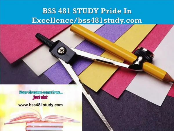 BSS 481 STUDY Pride In Excellence/bss481study.com
