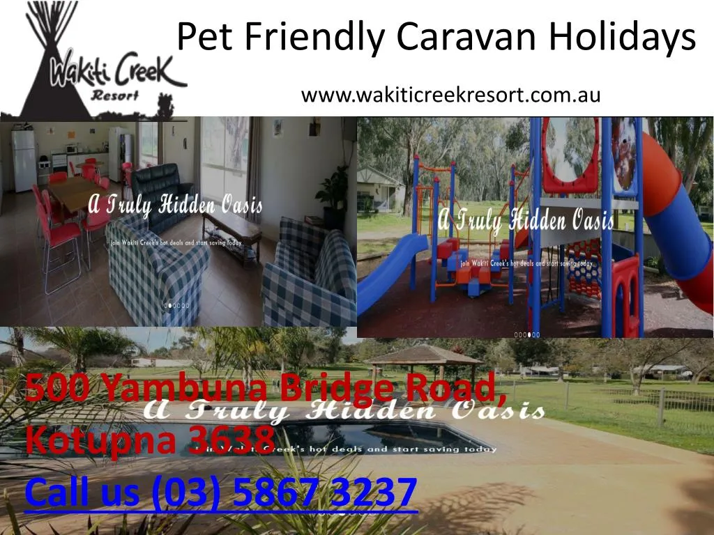 pet friendly caravan holidays www wakiticreekresort com au