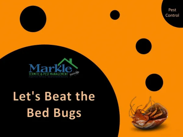 Let's beat the bed bugs