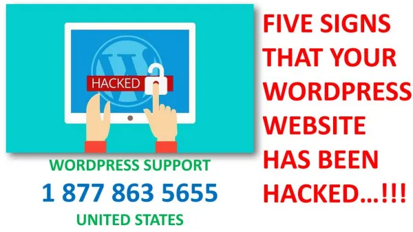 Five Signs That Your WordPress Website Has Been Hacked