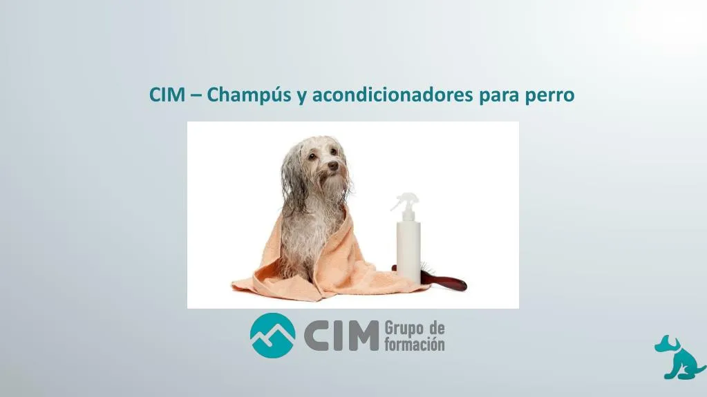 cim champ s y acondicionadores para perro