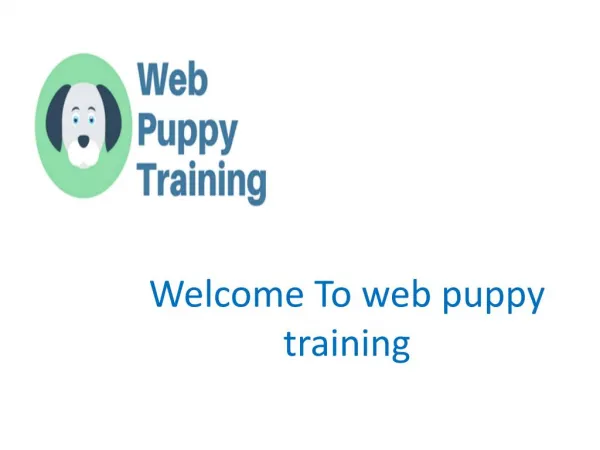 Online Dog Training | Puppy Training | Web Puppy Training