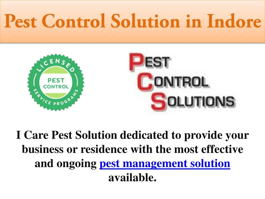 pest control solution in indore
