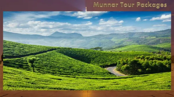 Love visiting hills? Get a tour package to Munnar this vacation