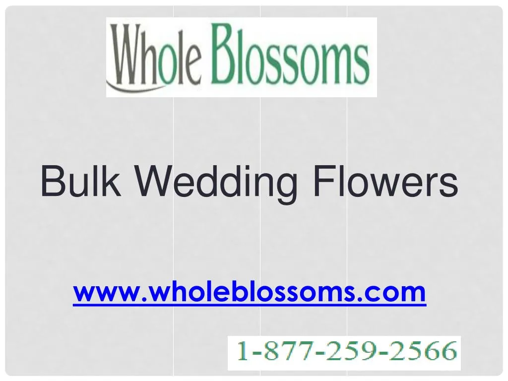 bulk wedding flowers