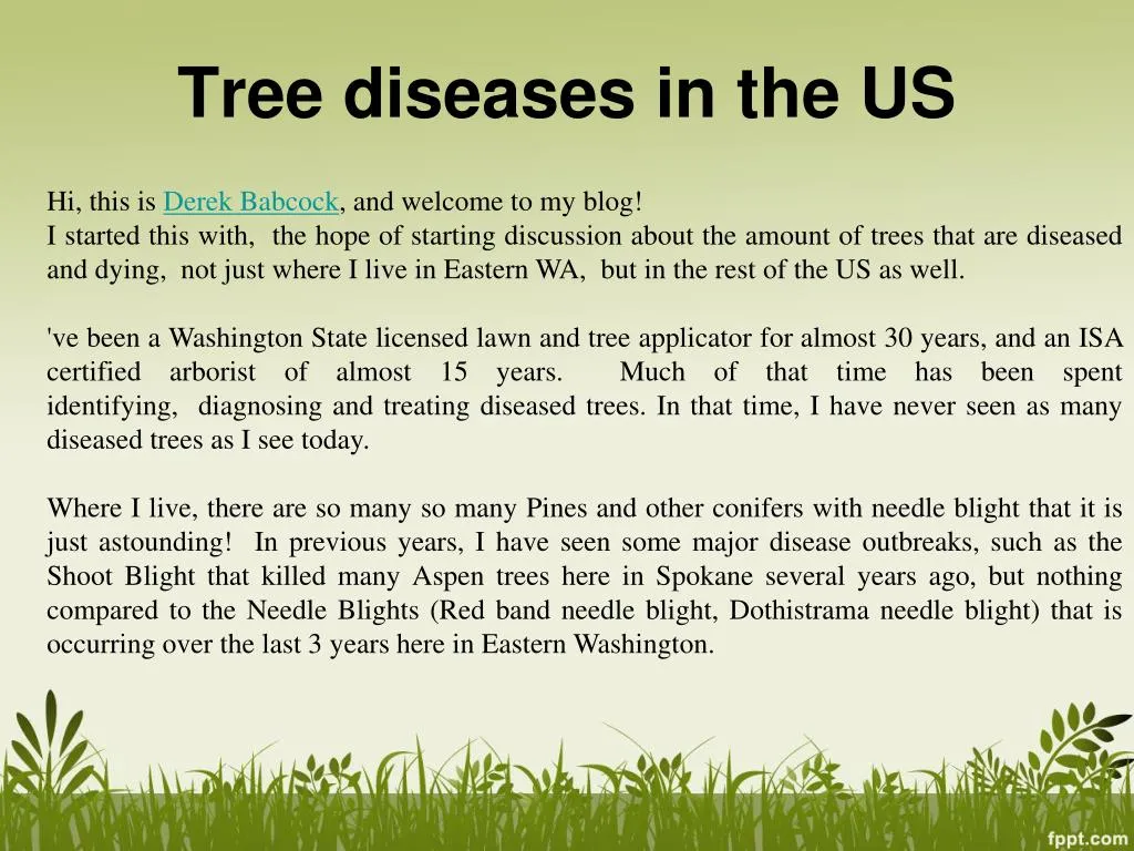 tree diseases in the us