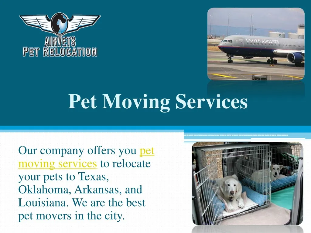pet moving services