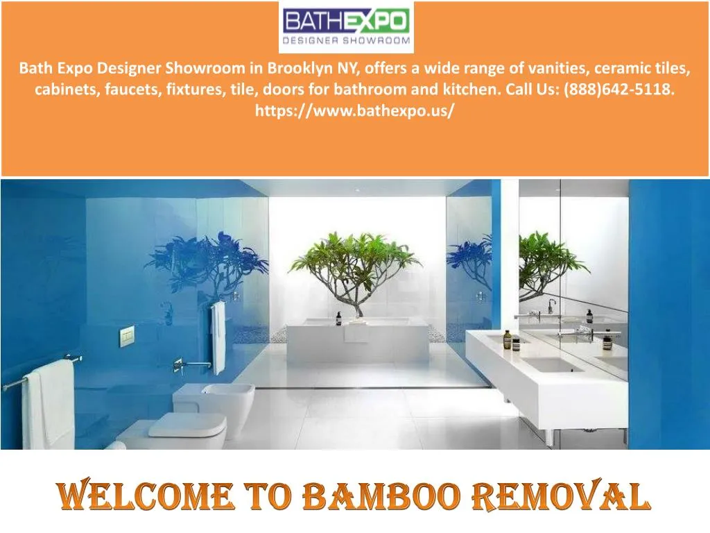 welcome to bamboo removal