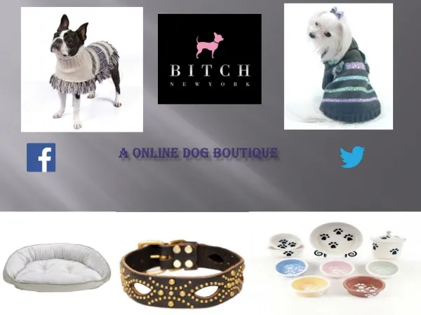 Dog Boutique Is Online Now