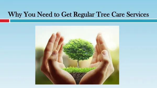 Why You Need to Get Regular Tree Care Services