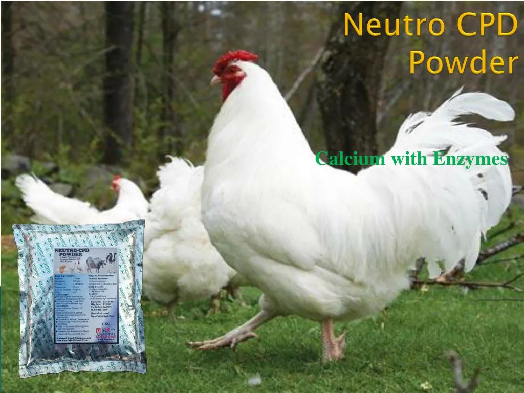 neutro cpd powder