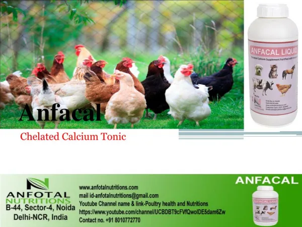Calcium tonic for poultry