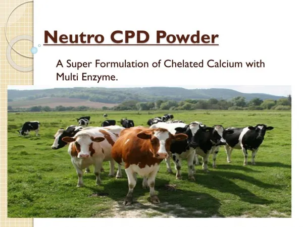Cattle Milk Enhancer
