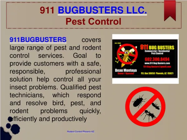 Pest, Bee, Rodent, Scorpion Control, Bed Bug Elimination and Ant Exterminator at Phoenix AZ