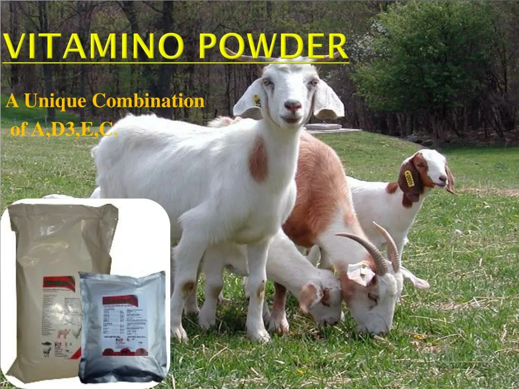 vitamino powder
