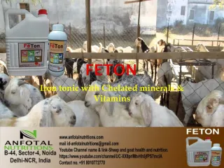 Feed Supplements - slide 1