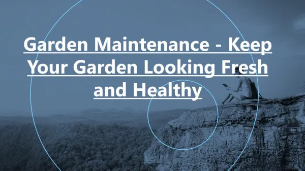 Keep Your Garden Looking Fresh and Healthy - Garden Maintenance