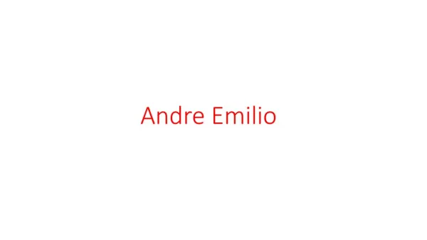 Men's Shirts Sale - Andre Emilio