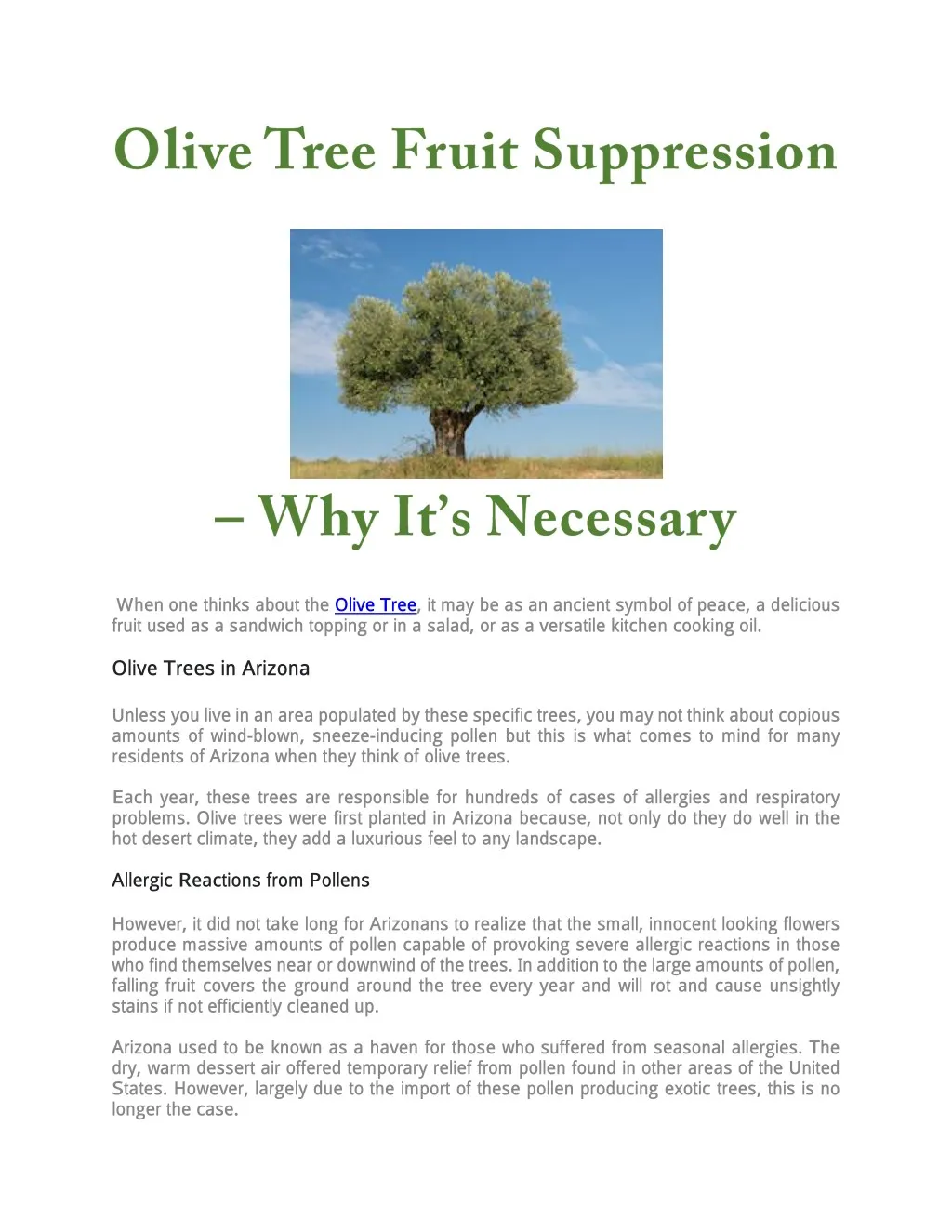 when one thinks about the olive tree