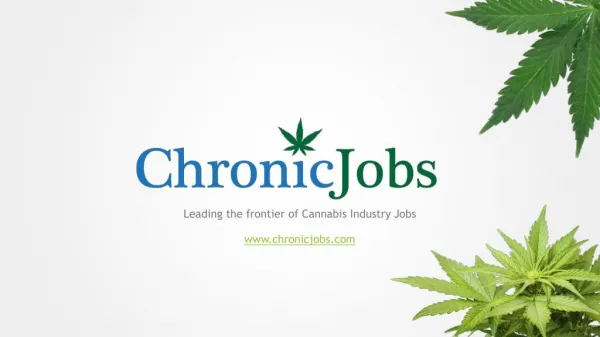Chronicjobs - Leading Website for Cannabis and Marijuana Jobs in USA