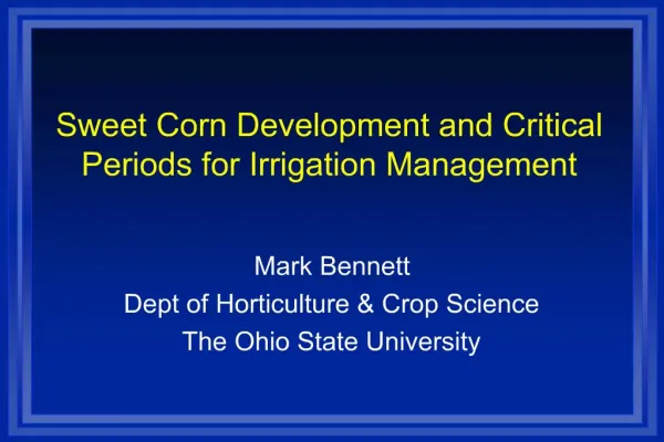 Sweet Corn Development and Critical Periods for Irrigation Management