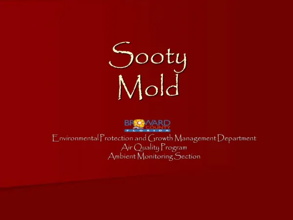 Sooty Mold