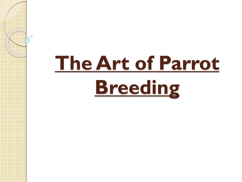 the art of parrot breeding