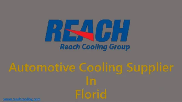 Automotive Cooling Supplier In Florid