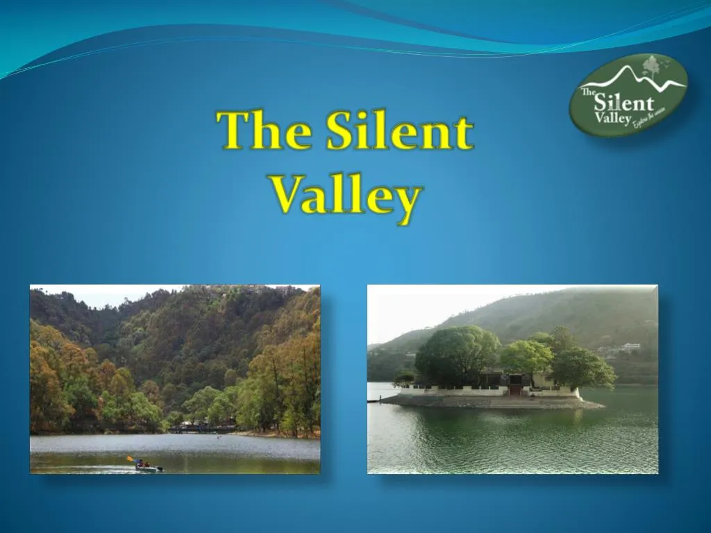 the silent valley