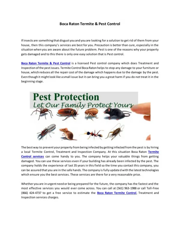 Boca Raton Termite & Pest Control
