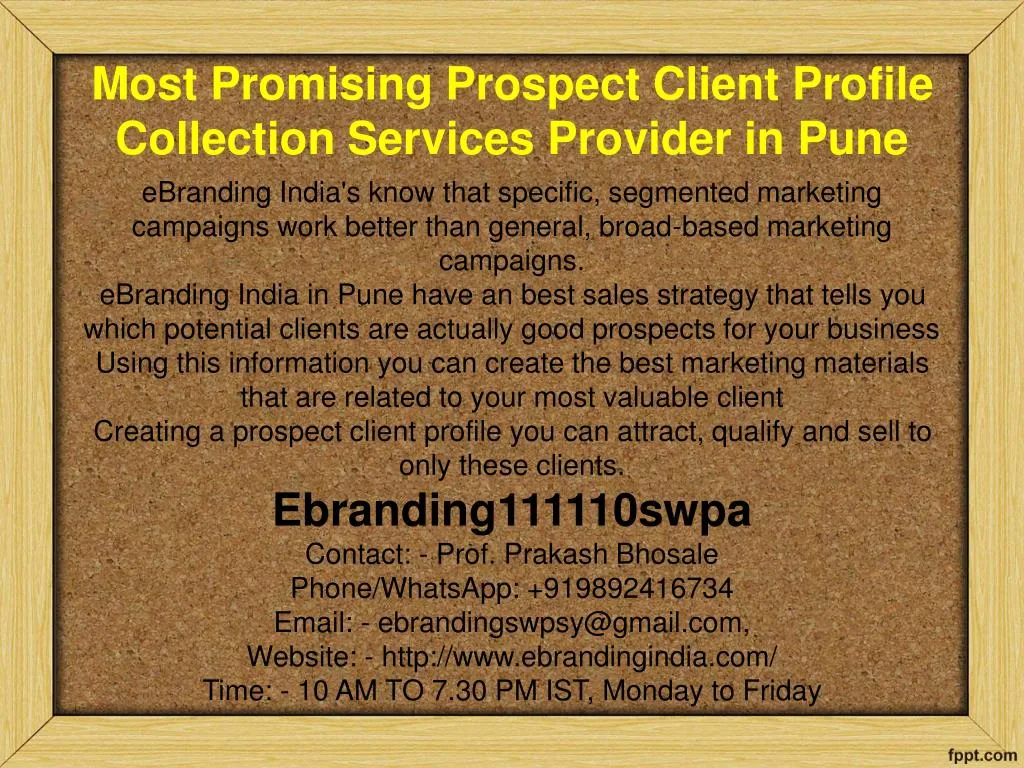 most promising prospect client profile collection services provider in pune